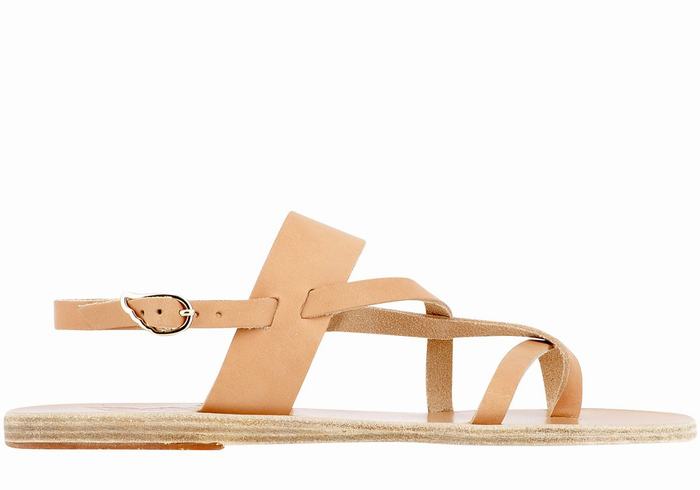 Sandales Bride Arrière Ancient Greek Sandals Alethea Leather   | RSS-5004235